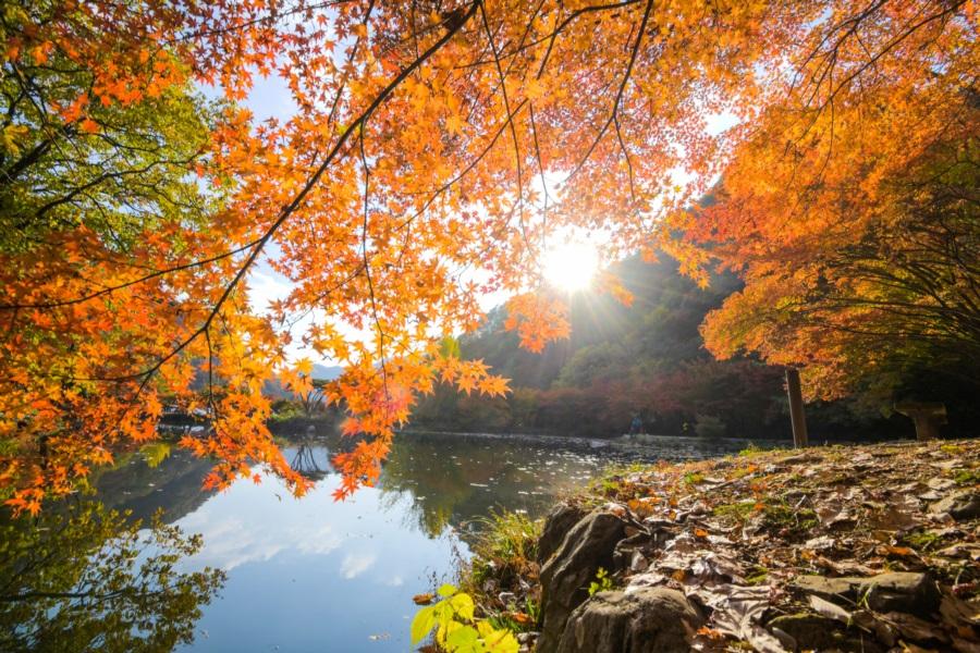 馬耳山道立公園