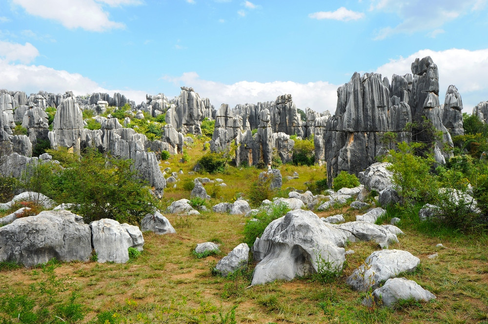 石林風景區含電瓶車